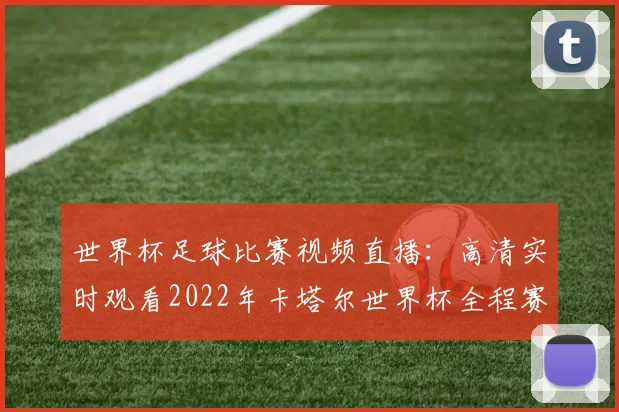 世界杯足球比赛视频直播:高清实时观看2022年卡塔尔世界杯全程赛事